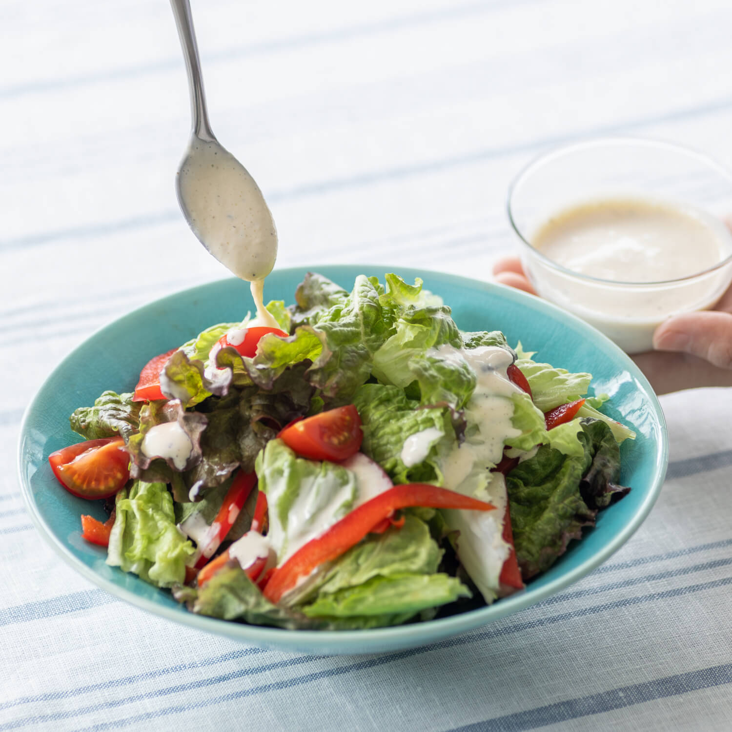 信楽焼 トルコ釉 平鉢