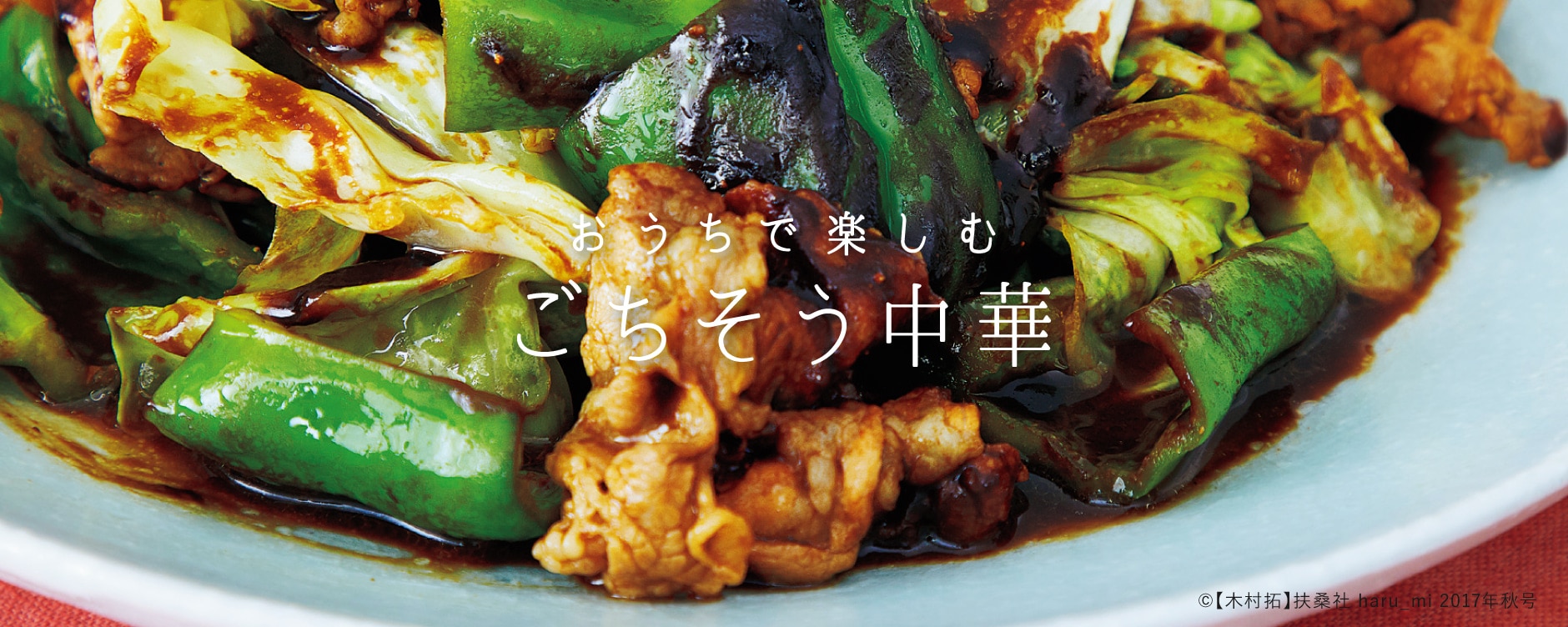 おうちで楽しむごちそう中華