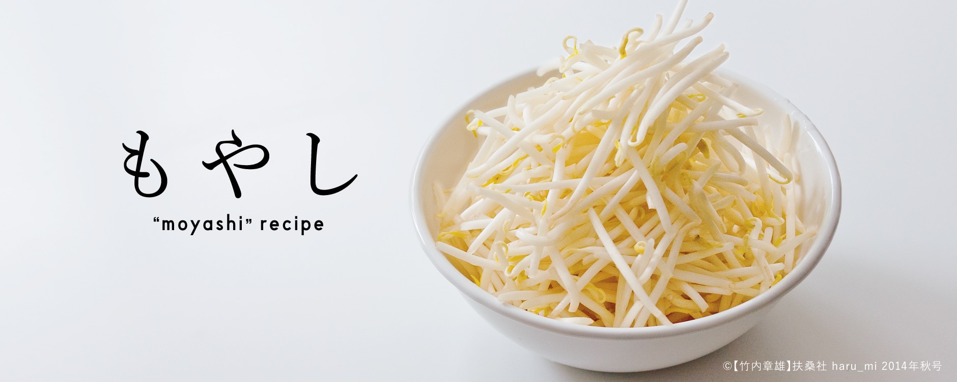 もやしレシピ