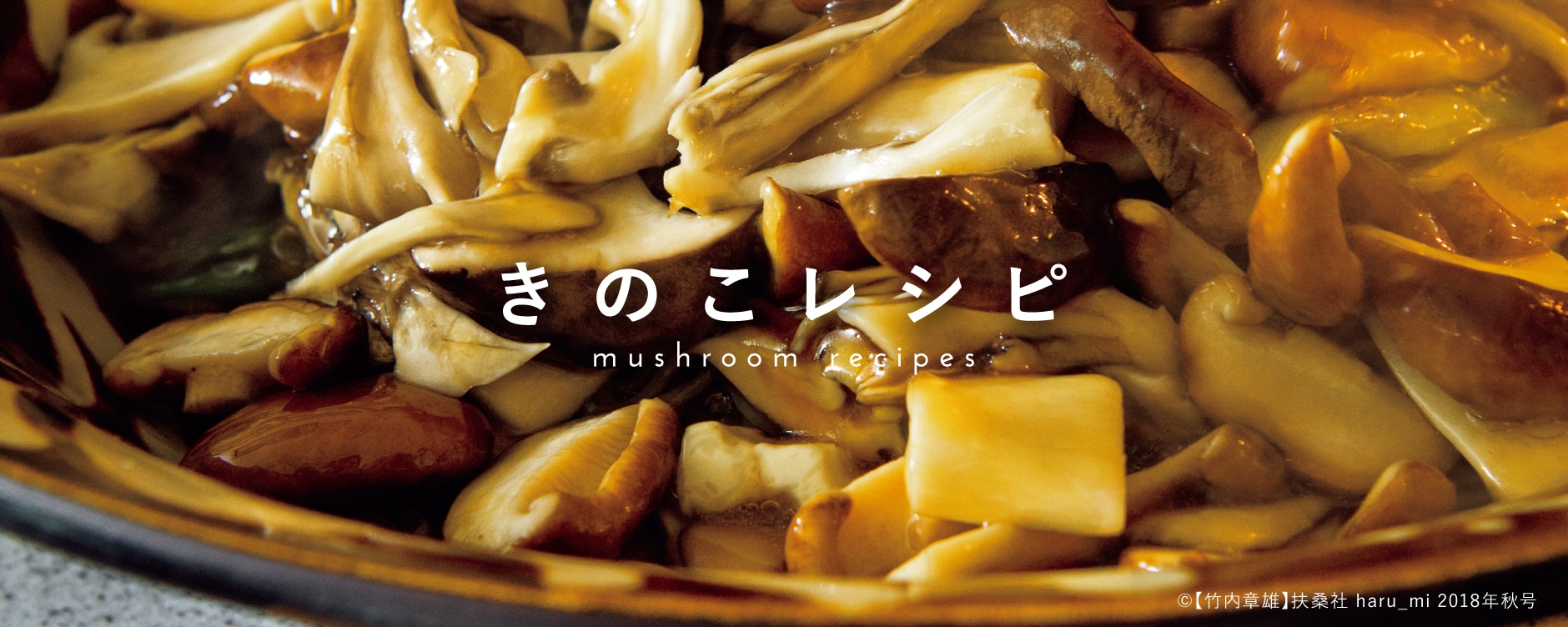きのこレシピ