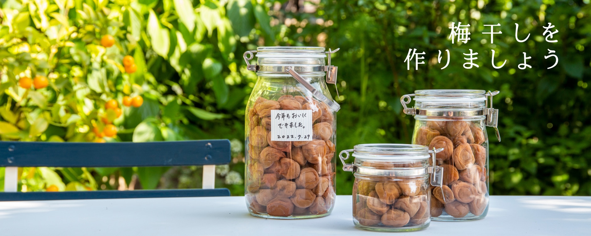 梅干しを作りましょう
