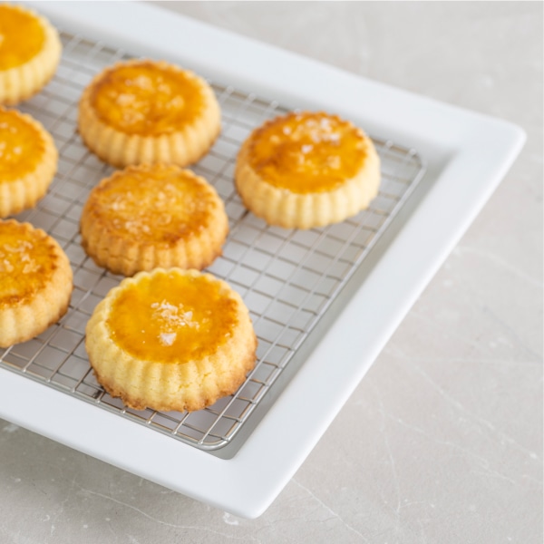 網付き バリエーショントレー 白磁